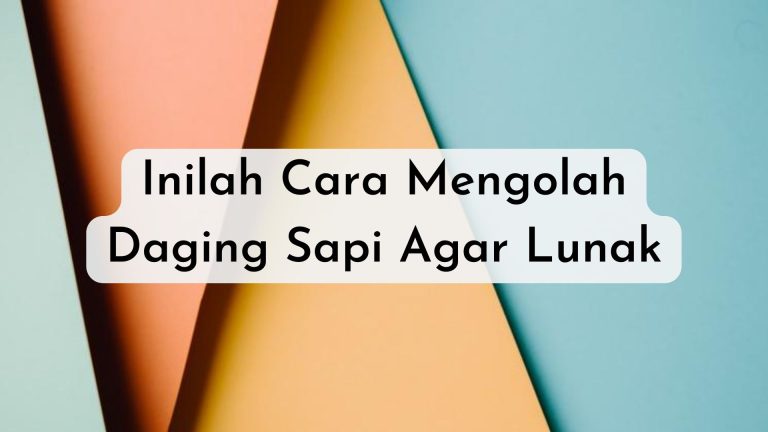 cara mengolah daging